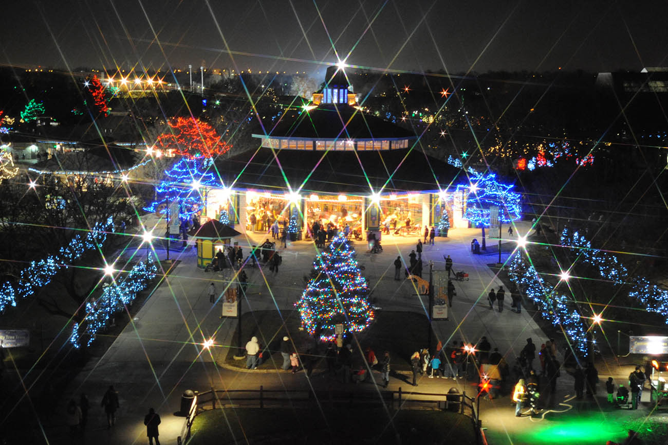 A Night of Zoo Lights Brookfield Zoo Holiday Magic What You Need to Know